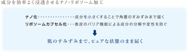 成分をより効率よく浸透させるナノ・リポソーム加工